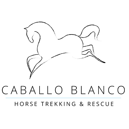 Cropped 512 X 512 Px Logo Png Caballo Blanco Horse Riding And Rescue